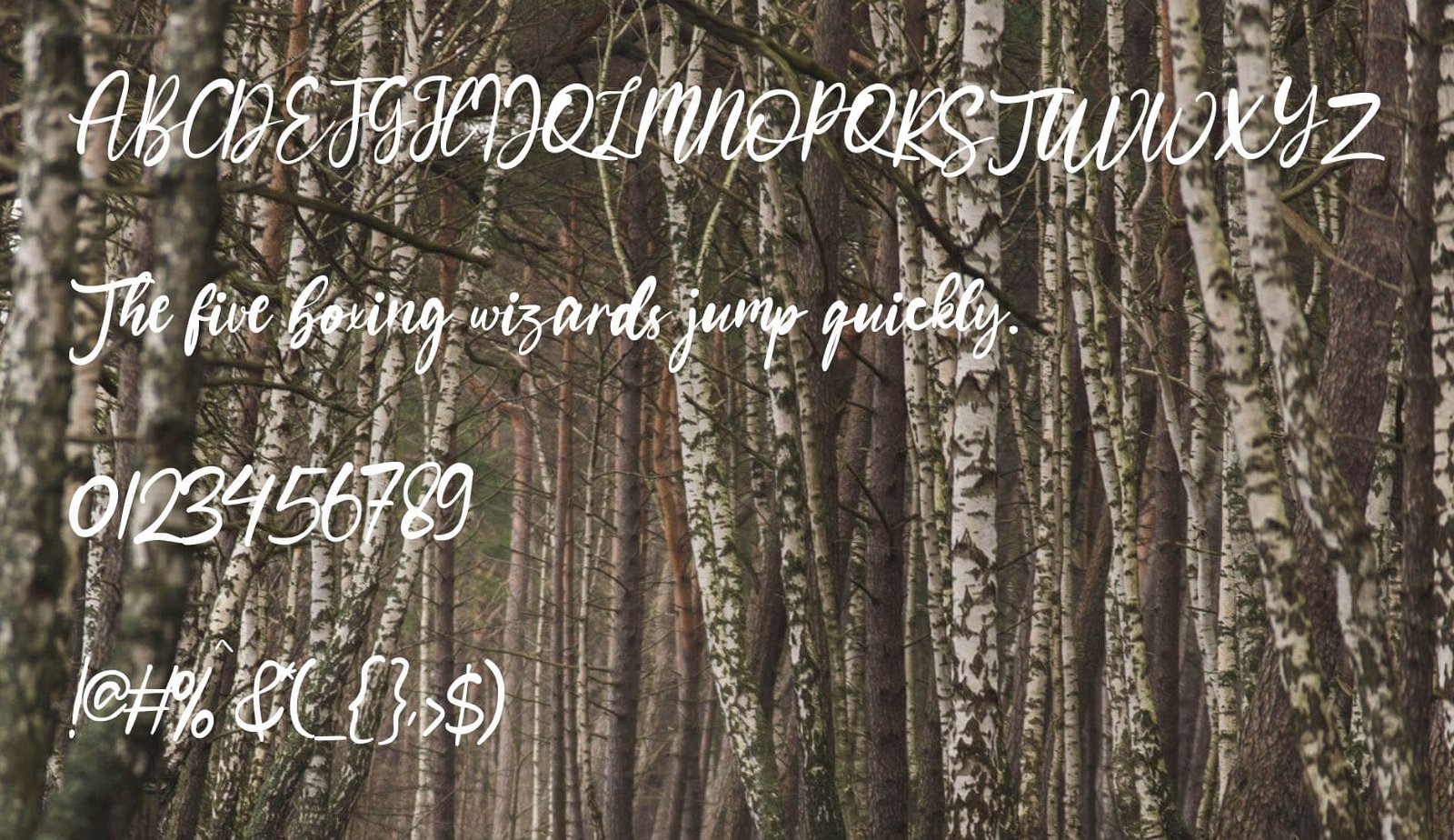 BOHEMIAN-FONT-1.jpg Bohemian Font