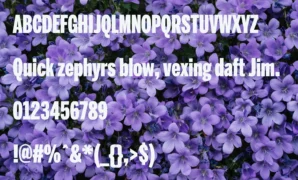 Benton Sans Extra Comp Black Font