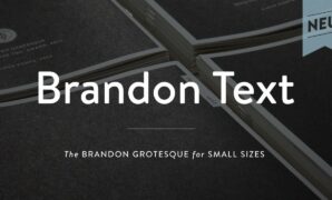 Brandon Text Font