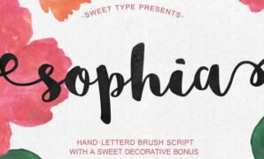 Brush Typography Font