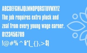 Compacta Font
