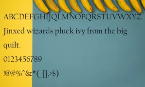 California   download Font