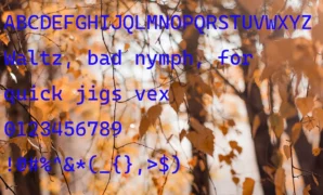 Cascadia Code Font
