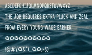 Congratulations Font