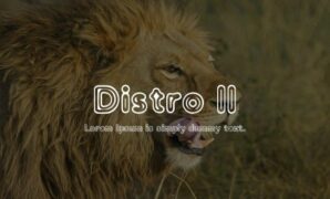 Distro-Font.jpg Distro Font