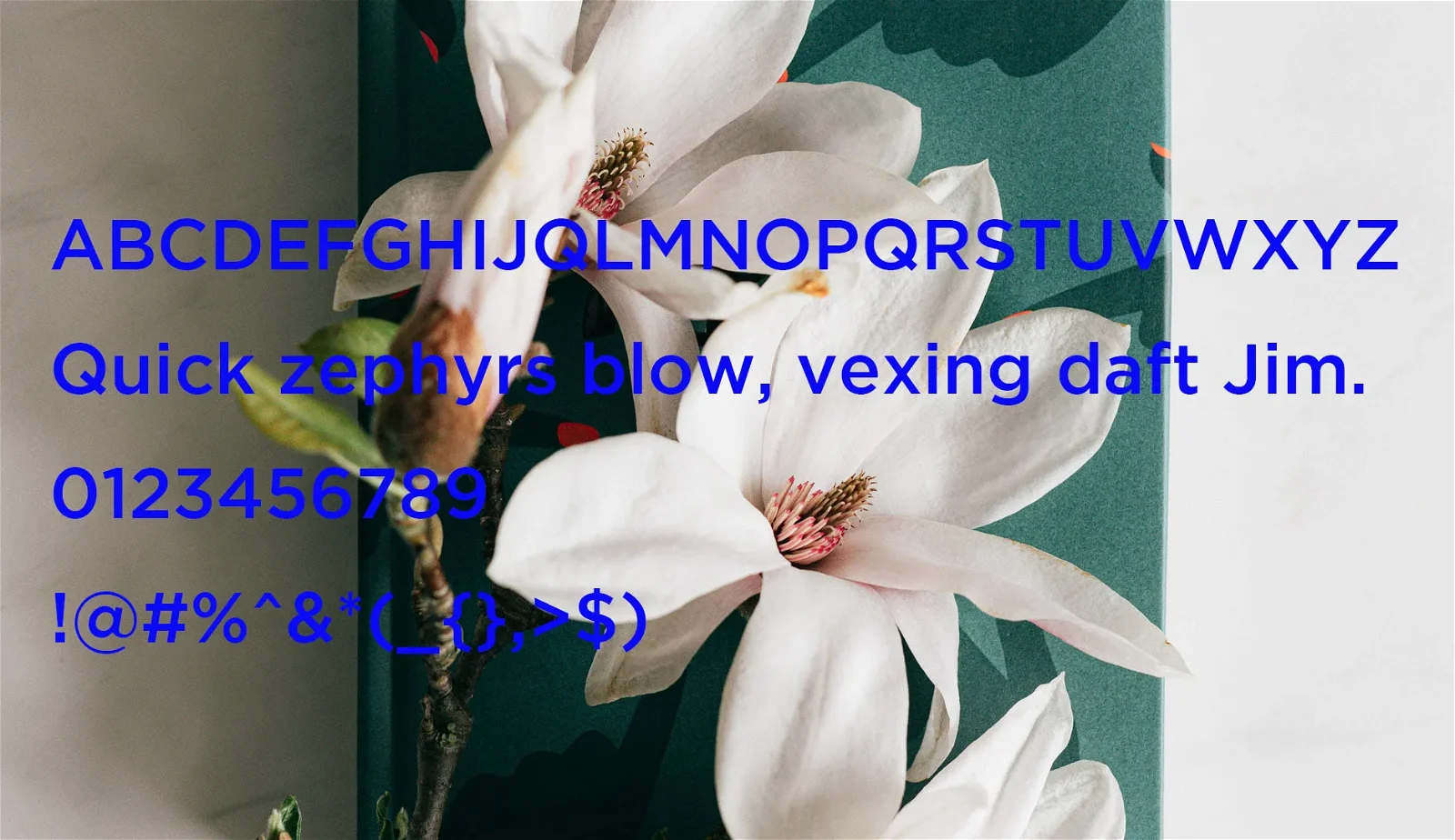 Gotham-Medium-Font-.webp Gotham Medium Font