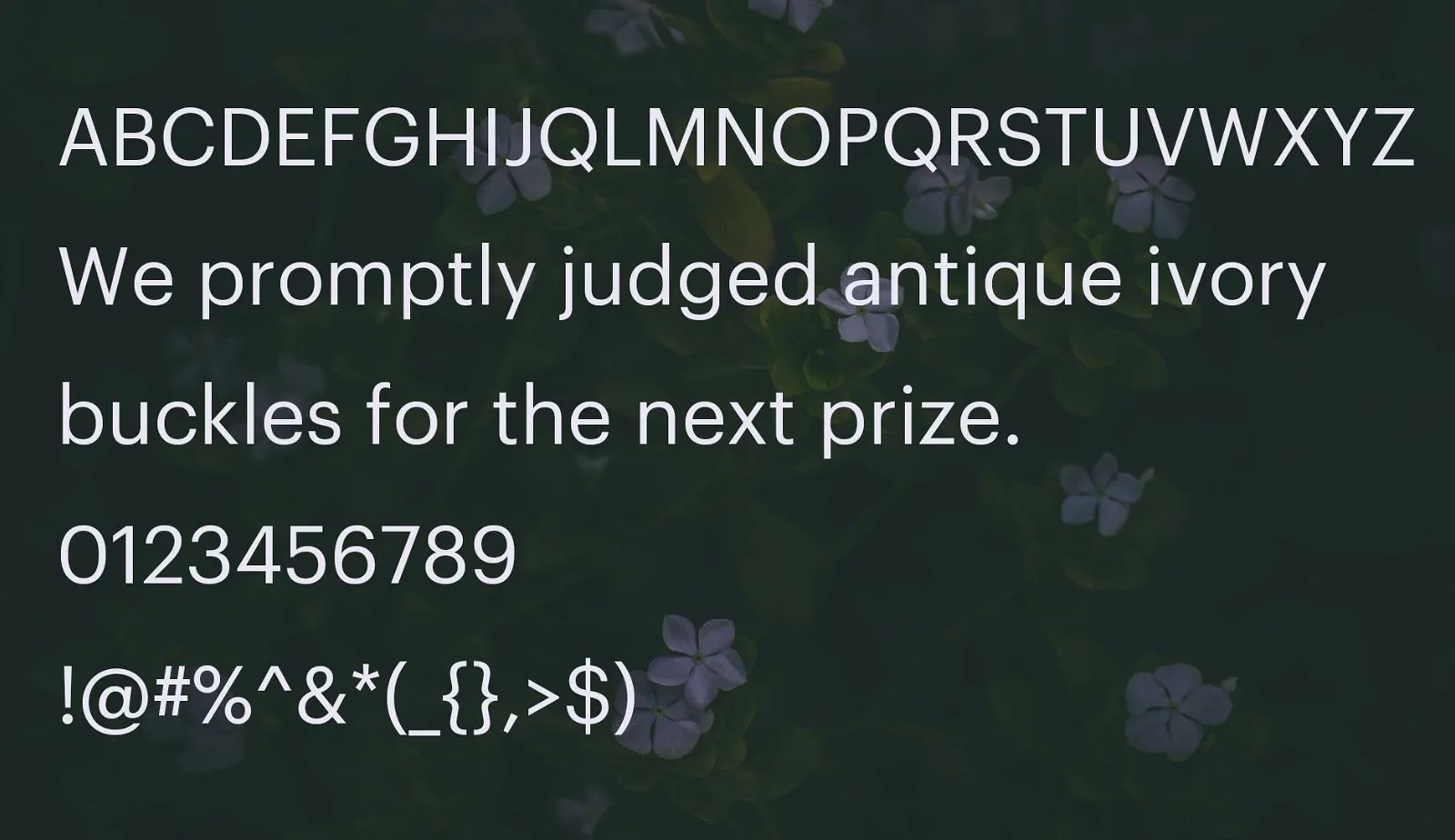 Graphik-Font-1.webp Graphik Font