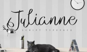 Julianne Script Typeface Font