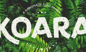 Koara Font