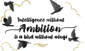 Priscillia Script Font