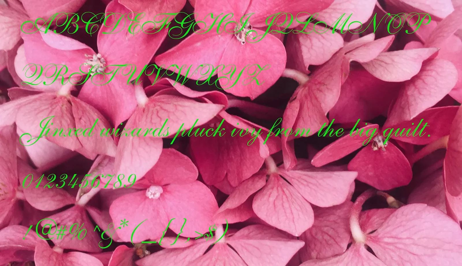 Shella Clean   Donwload Font