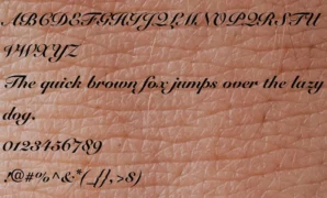 Snell Roundhand Font