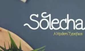 Solecha Rough Typeface Font