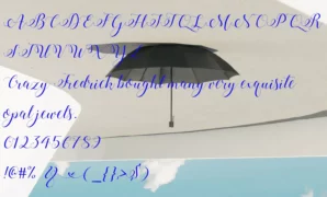 Stylish Calligraphy Font