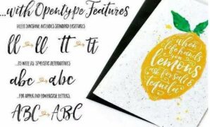 Hello Bright Sunshine  Duo Font