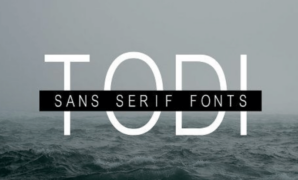 Todi Sans Serif Font