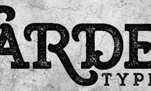 Warden Typeface Font