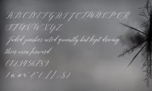 Adelicia-font-view.webp Adelicia Font