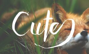 Adventurous Script Font