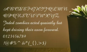 Amazone-bt-font-view.webp Amazone BT Font