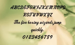 Athletic Font