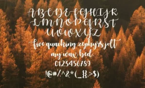 Autumn in November Font