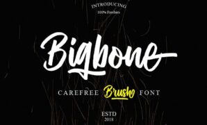 Bigbone Brush Font