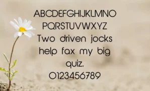 Bloomingdales Logo Font