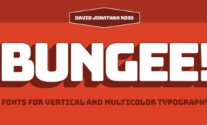 Bungee Font