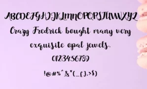 Charlotte Script Font