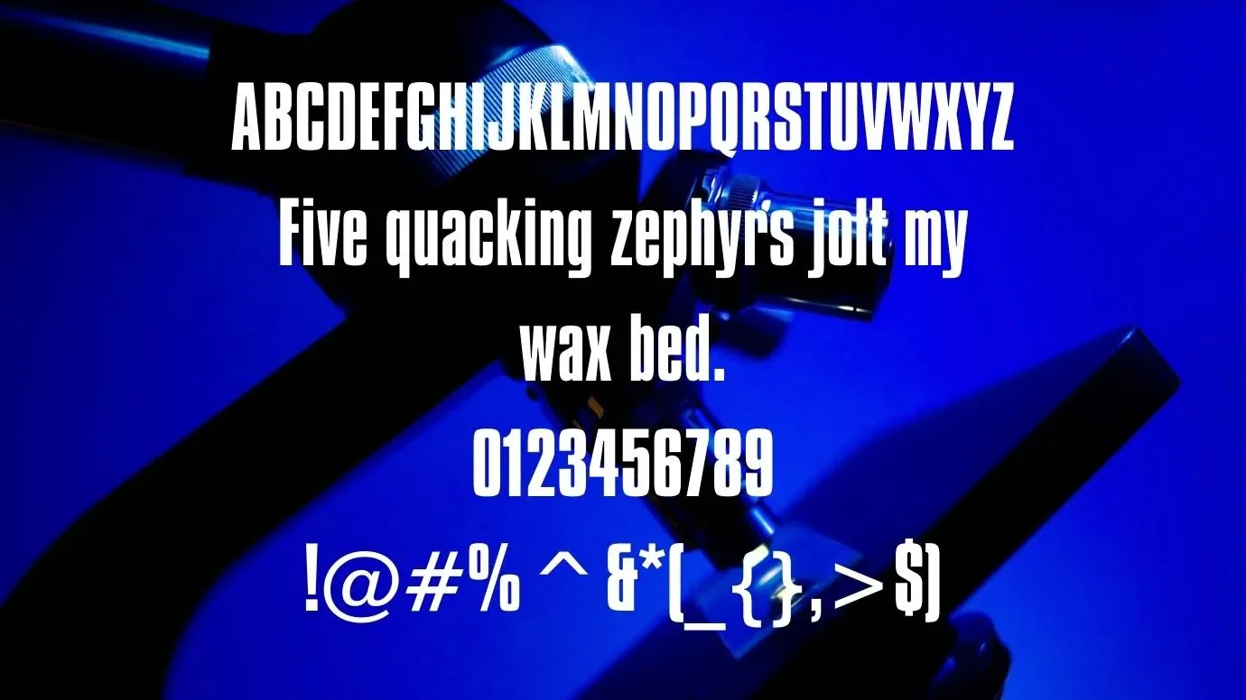 Compacta BT Bold Font