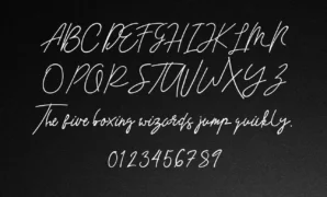 Destiny-font-view.webp Destiny Font