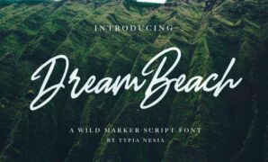 Dream Beach Script Font