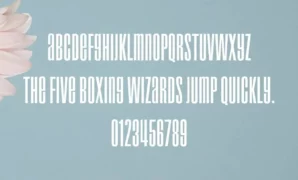 Droid Font