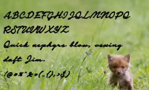 Fox Font