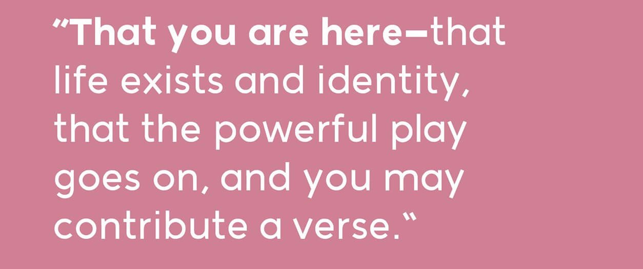 Kotori-font.jpg Kotori Rose Typeface Font