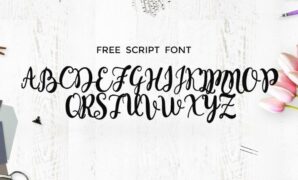 Monogram-font.jpg Monogram Script Font