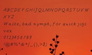 October-font-view.webp October Font