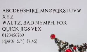 Princess and The Frog Font