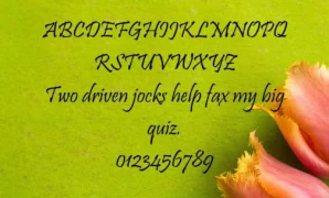 Pristina-font-view.webp Pristina Font