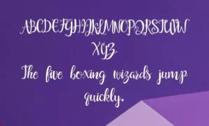 Saldina Font