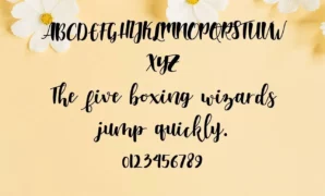 Shelley Allegro Font