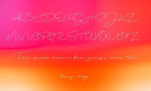 Shopping Script Font