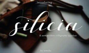 Silicia-font.jpg Silicia Script Font