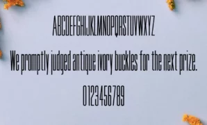 Tall Skinny Condensed Font