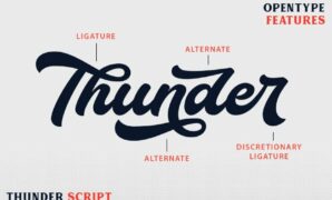 Thunder Bold Script Font