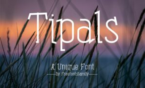Tipals-font.jpg Tipals Font