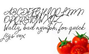 Tomatoes-font-view.webp Tomatoes Font