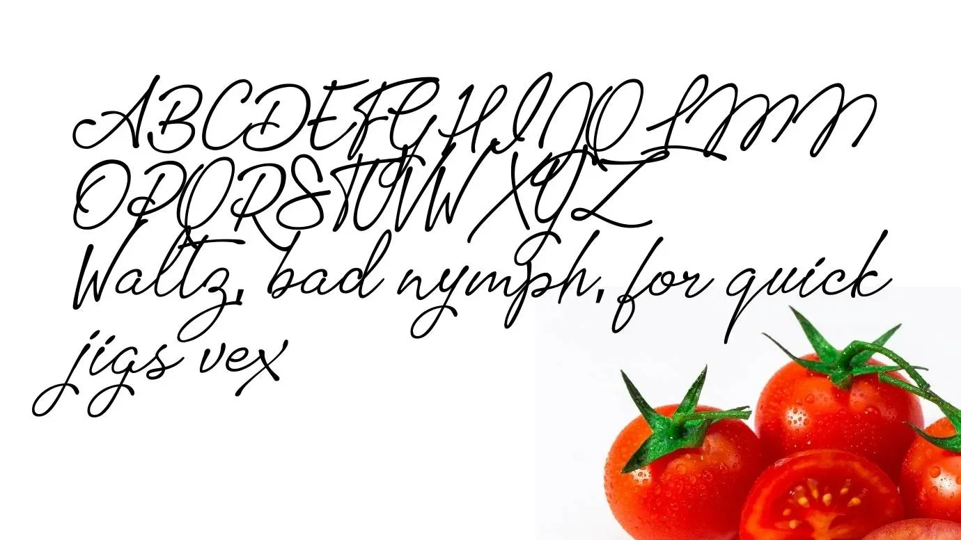 Tomatoes-font-view.webp Tomatoes Font