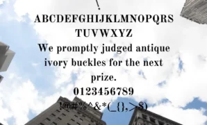 Wall Street Journal Font